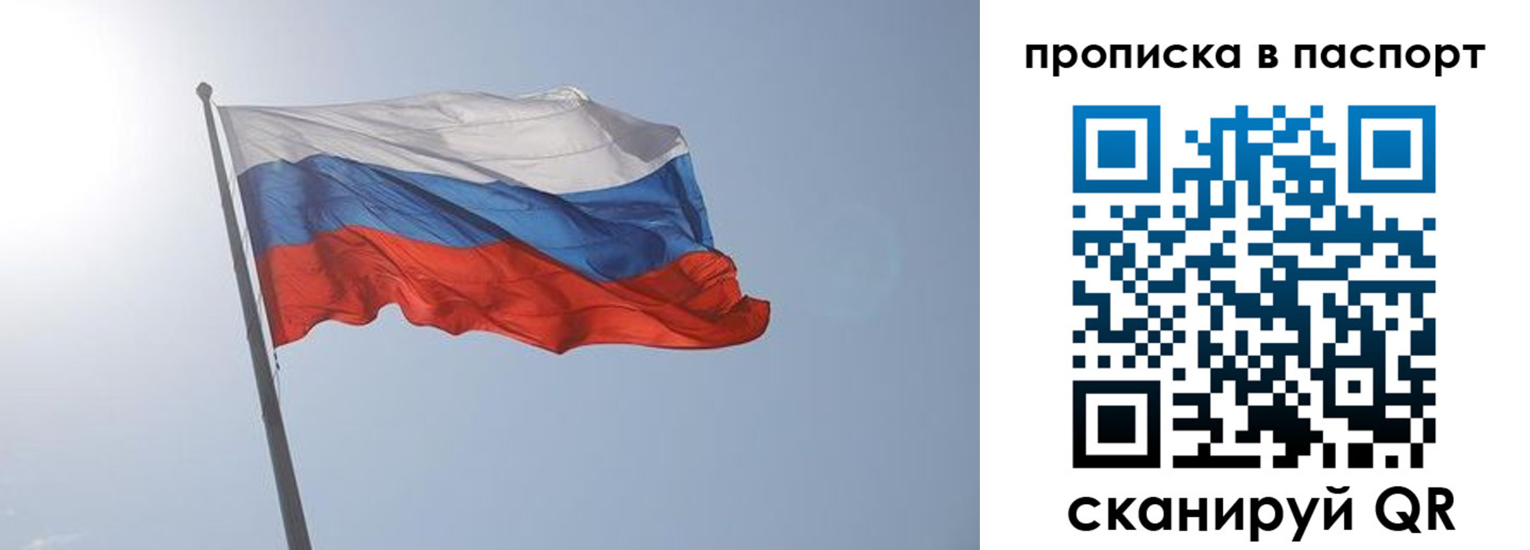 прописка для школы в Сафоново
